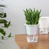 Self Watering Pot Without Plant (U03)