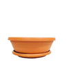 Plant Pot A01