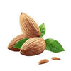 Almond Tree Almendro Plant (1.2–1.5m)