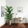 Araucaria Heterophylla in Stainless Steel Pot