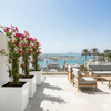 Bougainvillea 1.4-1.6m  in Grp Square White Pot 40 x 40