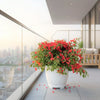 Bougainvillea Red in Cosmoplast Round Pot