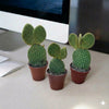 Cactus Opuntia Indoor Plant (5-8cm)