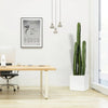Cactus San Pedro in Grp Pot 40x40