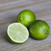 Persian Lime Citrus Latifolia Lima Plant