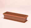 Exotica Planter with Tray