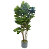 Fiddle Leaf Artificial Indoor And Outdoor Plant – Plastic Pot