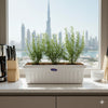 Green Aroma Rosemary Planter