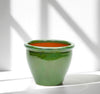 Rolled Rim Green Pot | UAE's Trendy Garden Planter!