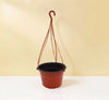 Hanging Plant Pot | Dubai Gardens Pick!