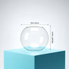 Large Spherical Glass Display Bowl Indoor Planter