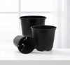 Black Plastic Nursery Pot | UAE Gardens Addition!