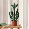 Opuntia Consolea Plant in White Ceramic Pot