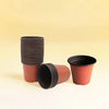Yardwe Plastic Planter Container (100 Pcs) | Dubai Gardens Stuff!