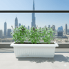 Pure Flavor Basil Grow Box