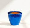 Blue Rolled Rim Pot Blue - Ceramic Pot | UAE's Trendy Outdoor Planter!