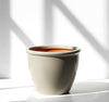 Light Grey Rolled Rim Pot Outdoor Ceramic Pot | Dubai Garden Supplies!