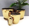 Shining Gold Vase Set Ceramic Pot with Saucer