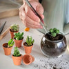 Mini Clay Pots with Drainage Holes