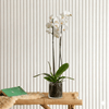 White Orchids Decorative Blooms Plant (50-70cm)